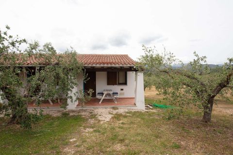 Landejendom i Galtelli, Nuoro, Galtelli - € 1.990.000 | Ref: SRD3182-606298 - foto 26