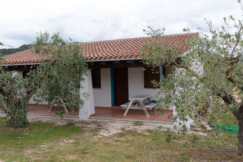 Landejendom i Galtelli, Nuoro, Galtelli - € 1.990.000 | Ref: SRD3182-606298 - foto 28