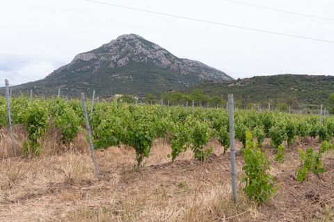 Landejendom i Galtelli, Nuoro, Galtelli - € 1.990.000 | Ref: SRD3182-606298 - foto 29