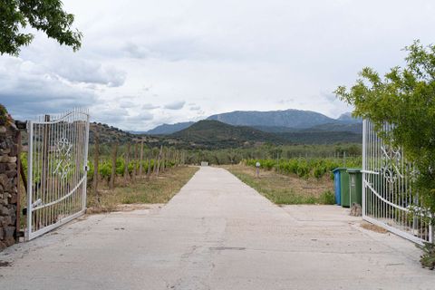 Landejendom i Galtelli, Nuoro, Galtelli - € 1.990.000 | Ref: SRD3182-606298 - foto 30