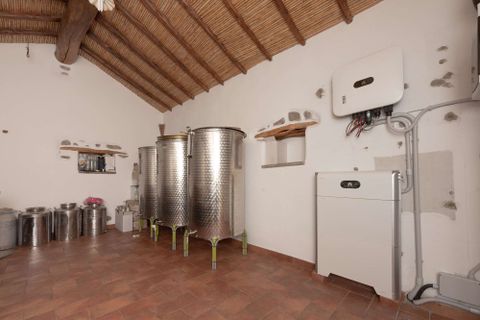 Landejendom i Galtelli, Nuoro, Galtelli - € 1.990.000 | Ref: SRD3182-606298 - foto 35