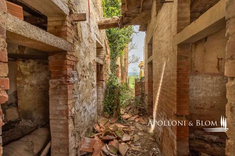 Villa a Asciano, Siena, Asciano - € 3.250.000 | Ref: ASC3204-606616 - foto 40