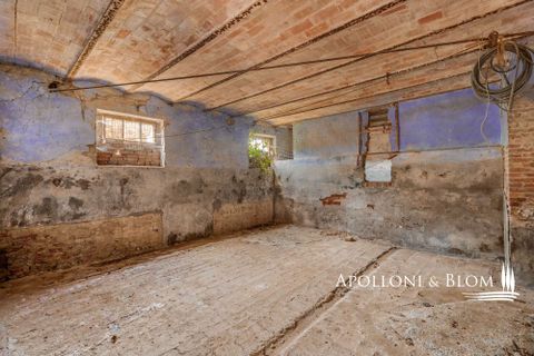 Villa a Asciano, Siena, Asciano - € 3.250.000 | Ref: ASC3204-606616 - foto 41