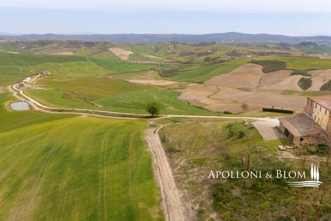 Villa a Asciano, Siena, Asciano - € 3.250.000 | Ref: ASC3204-606616 - foto 43