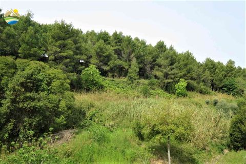 Leilighet i Pineto, Teramo, Pineto - € 435 000 | Ref: EL850-607158 - foto 25
