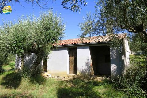 Villa a Elice, Pescara, Elice - € 210.000 | Ref: EL915-607270 - foto 19