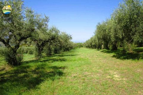 Villa a Elice, Pescara, Elice - € 210.000 | Ref: EL915-607270 - foto 21