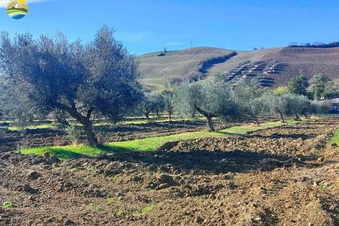 Terra a Pineto, Teramo, Pineto - € 110.000 | Ref: EL1086-607293 - foto 2