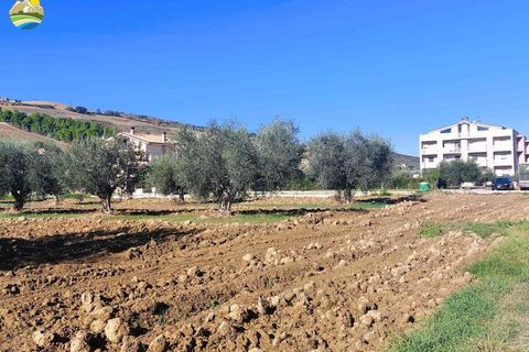 Terra a Pineto, Teramo, Pineto - € 110.000 | Ref: EL1086-607293 - foto 3