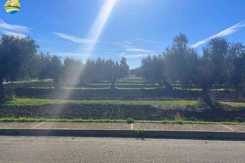 Terra a Pineto, Teramo, Pineto - € 110.000 | Ref: EL1086-607293 - foto 4