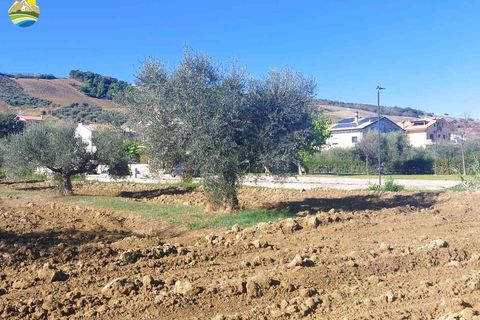 Terra a Pineto, Teramo, Pineto - € 110.000 | Ref: EL1086-607293 - foto 7