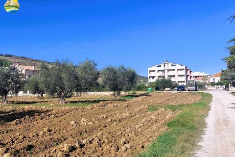 Terra a Pineto, Teramo, Pineto - € 110.000 | Ref: EL1086-607293 - foto 10