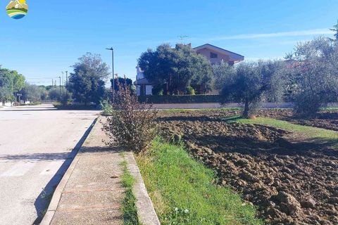 Terra a Pineto, Teramo, Pineto - € 110.000 | Ref: EL1086-607293 - foto 12