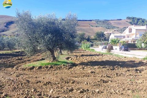 Terra a Pineto, Teramo, Pineto - € 110.000 | Ref: EL1086-607293 - foto 14