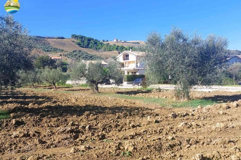 Terra a Pineto, Teramo, Pineto - € 110.000 | Ref: EL1086-607293 - foto 16