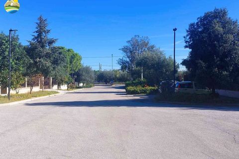 Terra a Pineto, Teramo, Pineto - € 110.000 | Ref: EL1086-607293 - foto 18