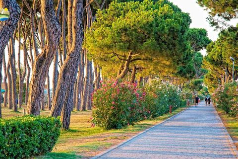 Terra a Pineto, Teramo, Pineto - € 110.000 | Ref: EL1086-607293 - foto 22