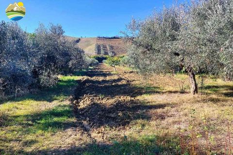 Helårsgrund i Pineto, Teramo, Pineto - € 150.000 | Ref: EL923-607316 - foto 2