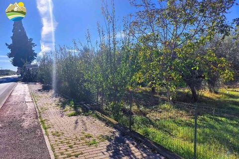 Helårsgrund i Pineto, Teramo, Pineto - € 150.000 | Ref: EL923-607316 - foto 3