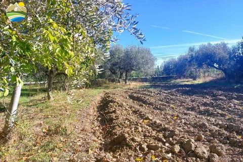 Helårsgrund i Pineto, Teramo, Pineto - € 150.000 | Ref: EL923-607316 - foto 4