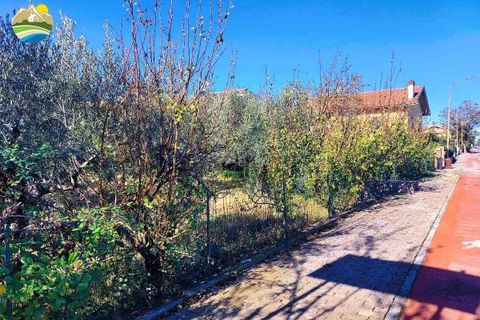 Helårsgrund i Pineto, Teramo, Pineto - € 150.000 | Ref: EL923-607316 - foto 5