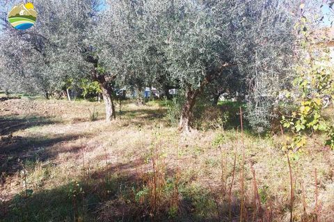 Helårsgrund i Pineto, Teramo, Pineto - € 150.000 | Ref: EL923-607316 - foto 6
