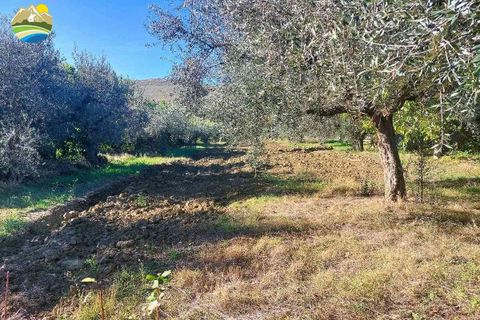 Helårsgrund i Pineto, Teramo, Pineto - € 150.000 | Ref: EL923-607316 - foto 7