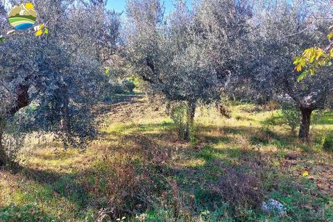 Helårsgrund i Pineto, Teramo, Pineto - € 150.000 | Ref: EL923-607316 - foto 8