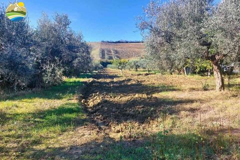 Helårsgrund i Pineto, Teramo, Pineto - € 150.000 | Ref: EL923-607316 - foto 9