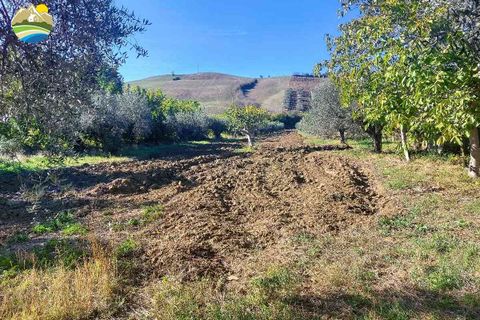 Helårsgrund i Pineto, Teramo, Pineto - € 150.000 | Ref: EL923-607316 - foto 10