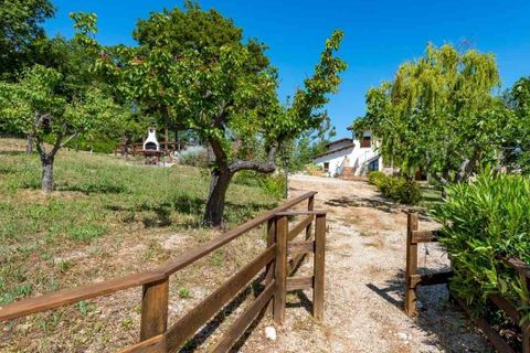 Villa a Morro d'Oro, Teramo, Morro d'Oro - € 630.000 | Ref: EL945-607456 - foto 20