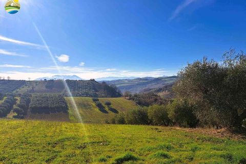 Villa a Castilenti, Teramo, Castilenti - € 79.000 | Ref: EL1004-607806 - foto 13