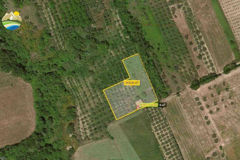 Villa a Castilenti, Teramo, Castilenti - € 79.000 | Ref: EL1004-607806 - foto 15