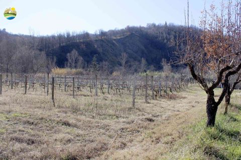 Villa a Bisenti, Teramo, Bisenti - € 95.000 | Ref: EL1006-607825 - foto 2