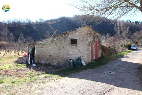 Villa a Bisenti, Teramo, Bisenti - € 95.000 | Ref: EL1006-607825 - foto 21