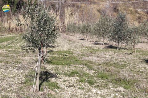 Villa a Bisenti, Teramo, Bisenti - € 95.000 | Ref: EL1006-607825 - foto 24