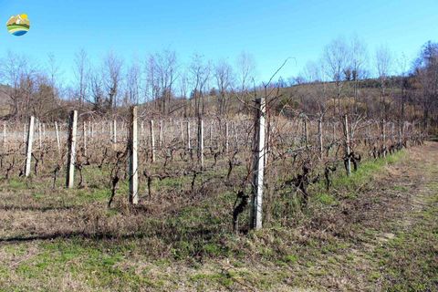 Villa a Bisenti, Teramo, Bisenti - € 95.000 | Ref: EL1006-607825 - foto 25