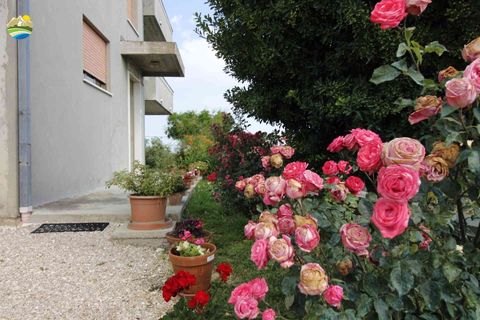 Villa a Castilenti, Teramo, Castilenti - € 248.000 | Ref: EL1018-607956 - foto 3