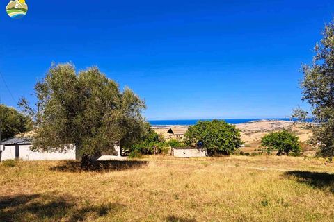 Villa i Atri, Teramo, Atri - € 83.000 | Ref: EL1049-608270 - foto 13