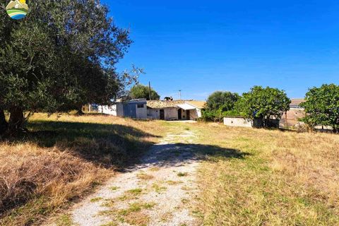 Villa i Atri, Teramo, Atri - € 83.000 | Ref: EL1049-608270 - foto 17