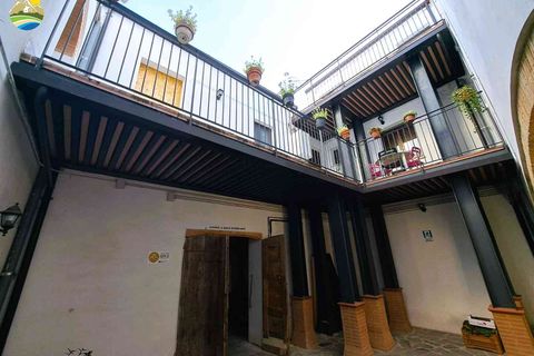 Villa a Bisenti, Teramo, Bisenti - € 245.000 | Ref: EL1053-608348 - foto 6