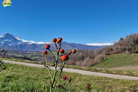Villa a Castelli, Teramo, Castelli - € 78.000 | Ref: EL1090-608894 - foto 24