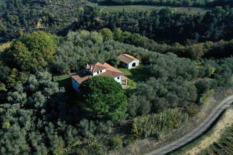 Villa a Palaia, Pisa, Palaia - € 750.000 | Ref: PIS2628-610752 - foto 4