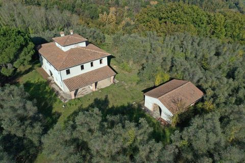 Villa a Palaia, Pisa, Palaia - € 750.000 | Ref: PIS2628-610752 - foto 5