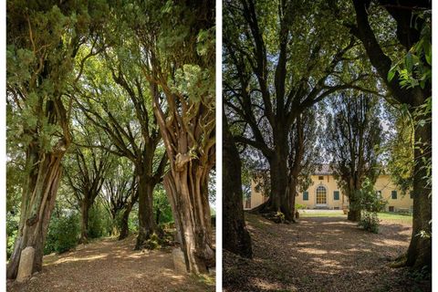 Villa a Siena, Siena, Siena - € 2.950.000 | Ref: SIE2619-611752 - foto 16