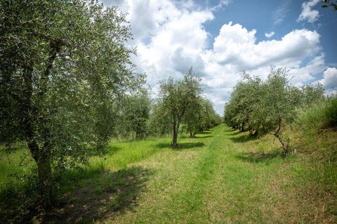 Villa a Siena, Siena, Siena - € 2.950.000 | Ref: SIE2619-611752 - foto 17