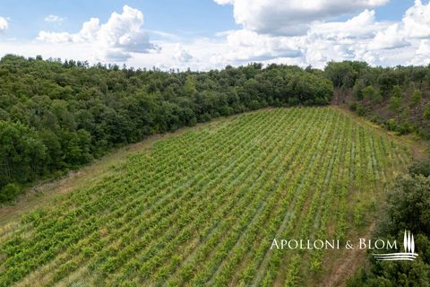 Masia a Monteriggioni, Siena, Monteriggioni - € 3.800.000 | Ref: SIE3021-611820 - foto 8
