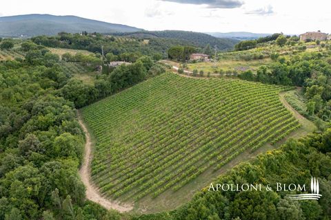 Masia a Monteriggioni, Siena, Monteriggioni - € 3.800.000 | Ref: SIE3021-611820 - foto 41