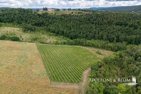 Masia a Monteriggioni, Siena, Monteriggioni - € 3.800.000 | Ref: SIE3021-611820 - foto 42