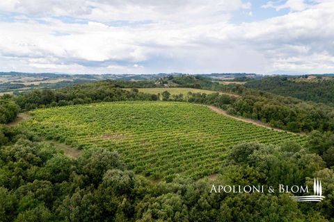 Masia a Monteriggioni, Siena, Monteriggioni - € 3.800.000 | Ref: SIE3021-611820 - foto 43